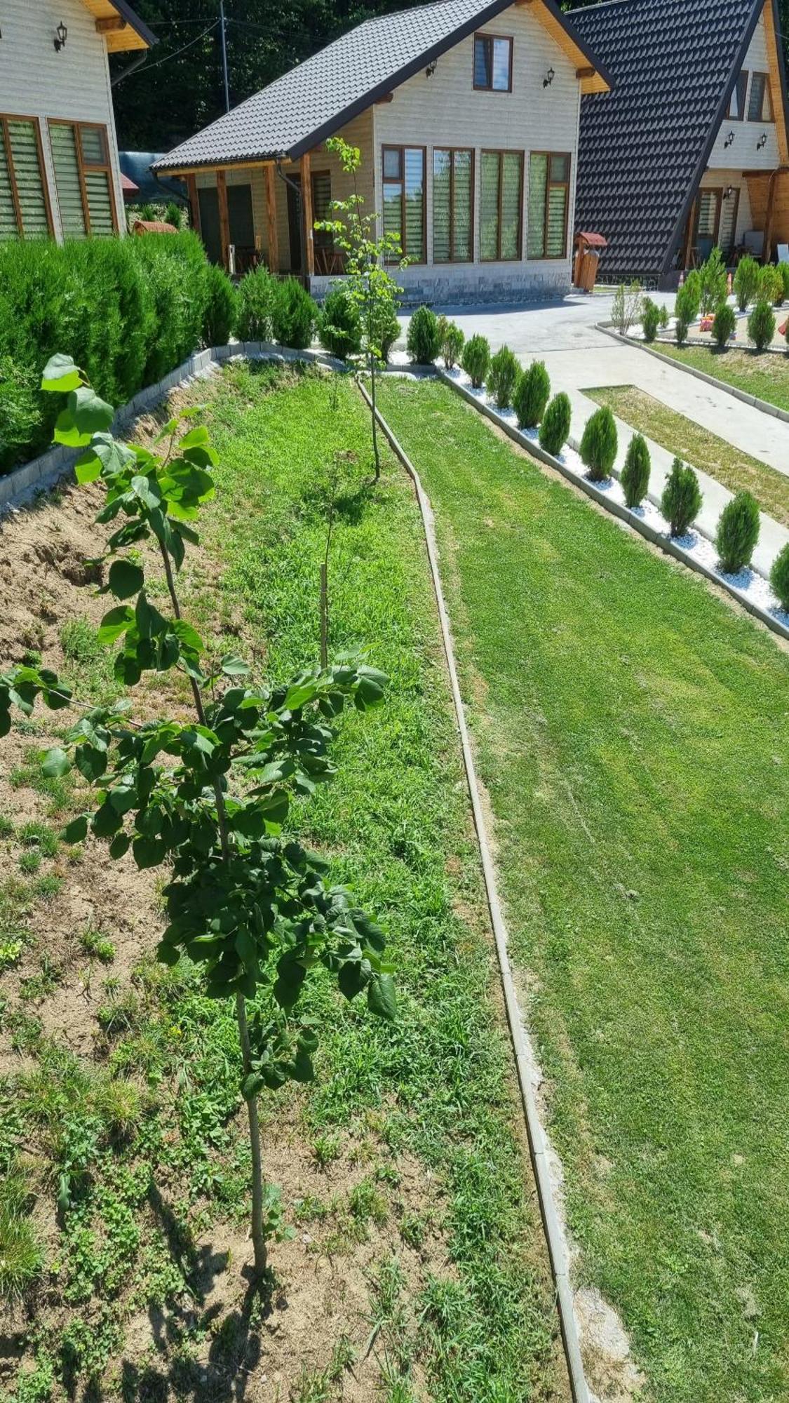 Apartmán La Maria Si Ioana Curtea de Argeş Exteriér fotografie
